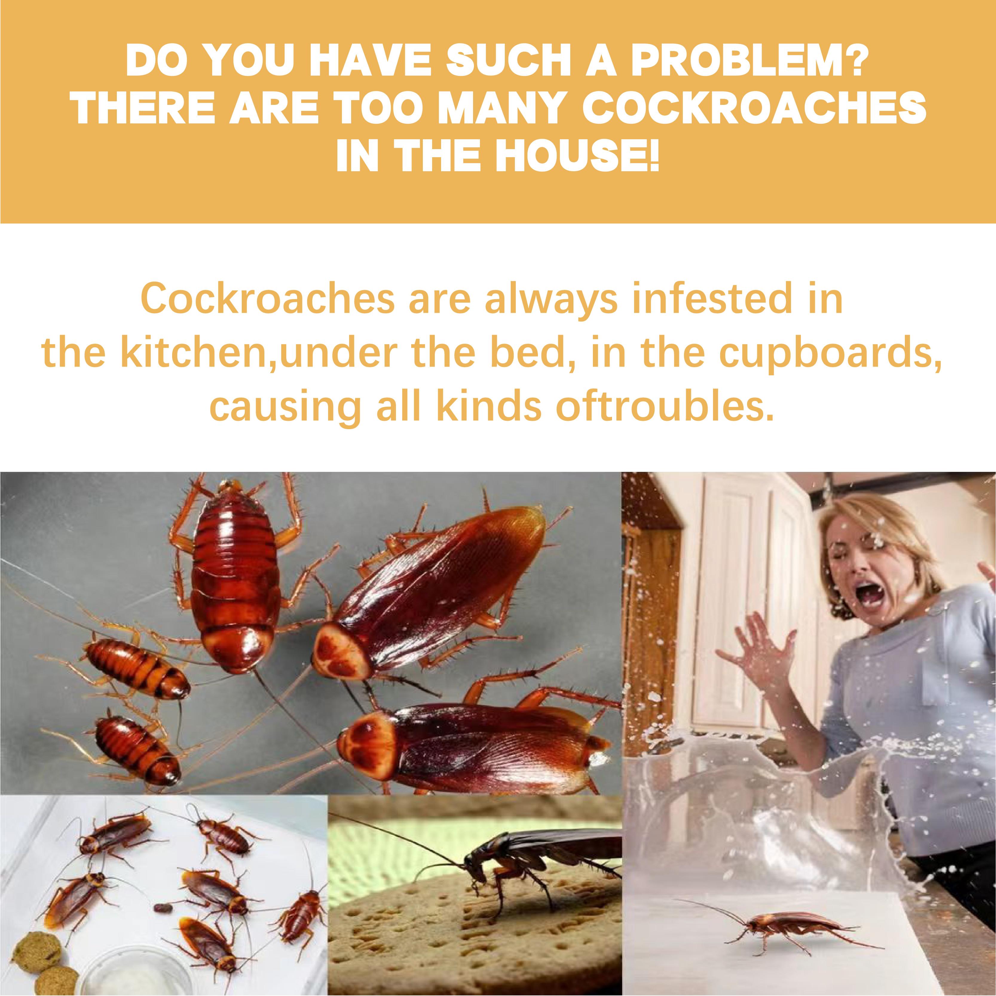 LENDOUYE Roach killer indoor infestation,Roach Repellent,Roach Traps indoor,Roach Killer,Roach Bait Station,Roach Killer Gel for American, German and Other Major Cockroach Species Fast-Action Waterproof Roach Gel BD