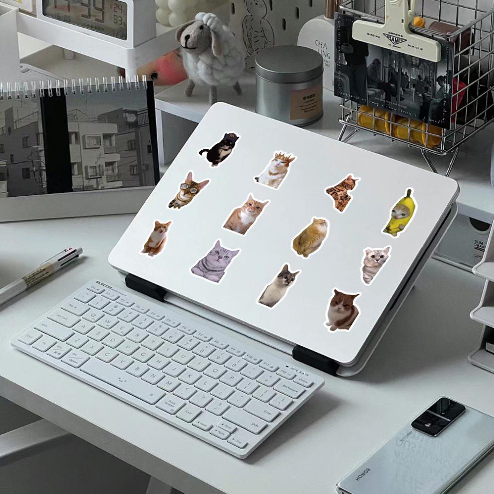 300 cat meme stickers, cute and funny quirky cat Instagram-style emoji and meme images