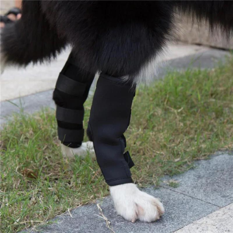 1Pair Pet Knee Support Braces – Hock Joint Wraps For Dog Leg Injury Recovery & Mobility Protection 