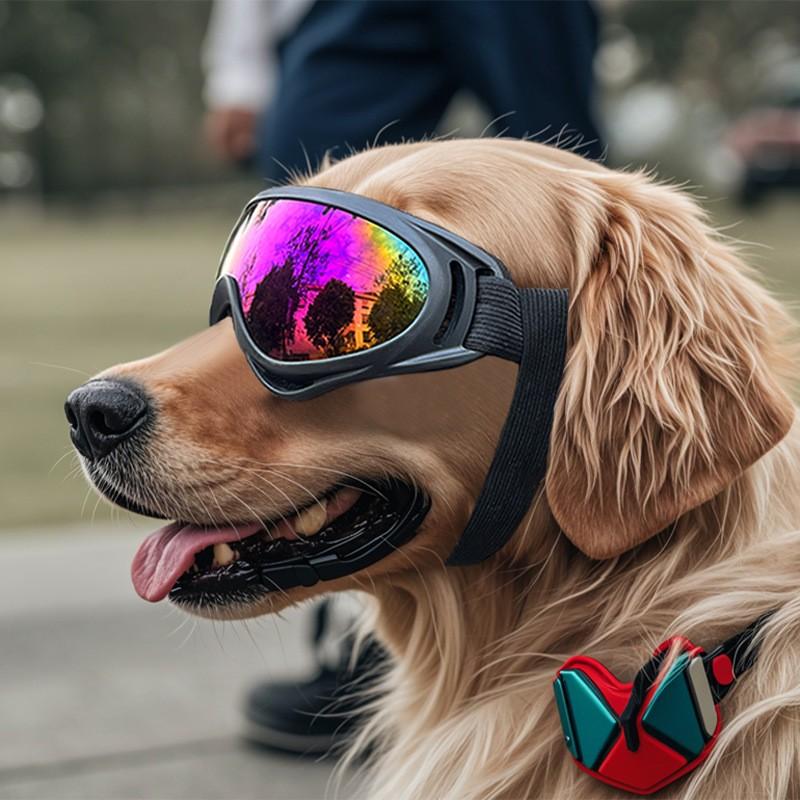 Adjustable Dog Goggles for Medium to Large Dogs, Outdoor Travel Eye Protection, Comfortable Pet Eyewear for Safe Adventures