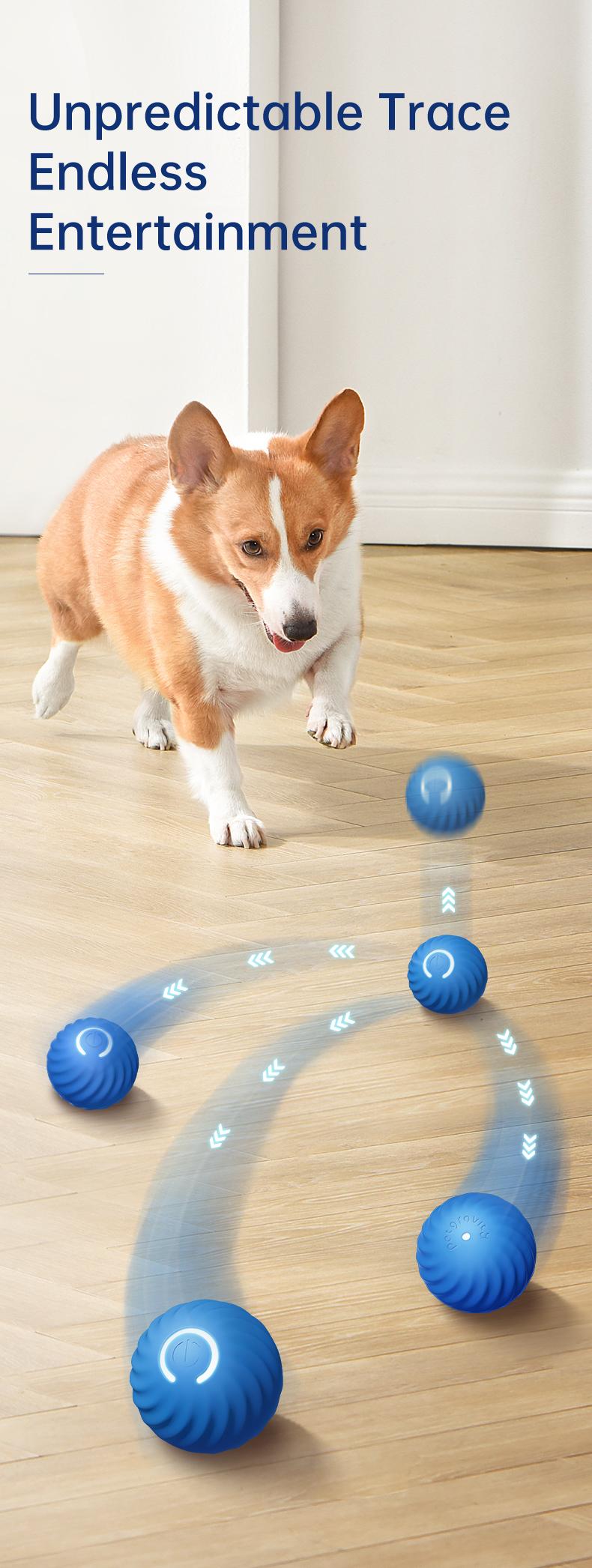 TikTokShopBlackFriday, Petgravity Interactive Dog Toys Dog Bouncing Ball, Dog Jumping Ball, Motion Activated Automatic Bouncing Ball Toys for Small/Medium Dogs, USB Rechargeable Pet Toys