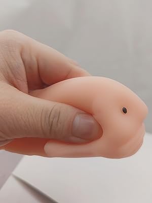 Cute Blobfish Toy, Scented, Fidget Blob Fish Mochi Toys, Stress Relief Squeeze for Kid and Adult, Sensory Toy for Autism, Birthday, Christmas, Office, Stocking Stuffer Gift
