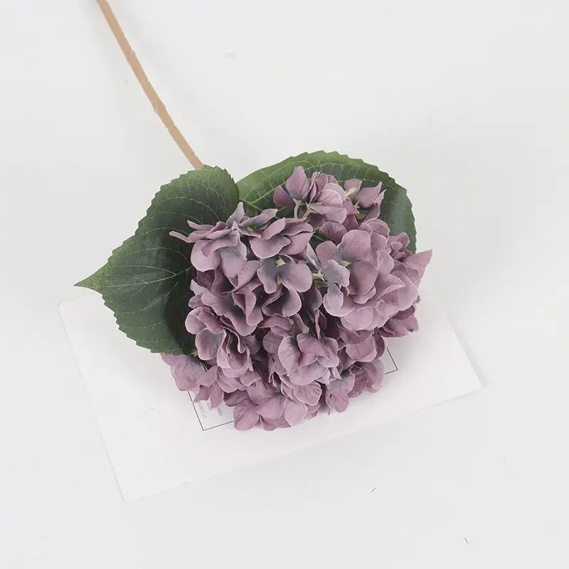 Gray-Purple