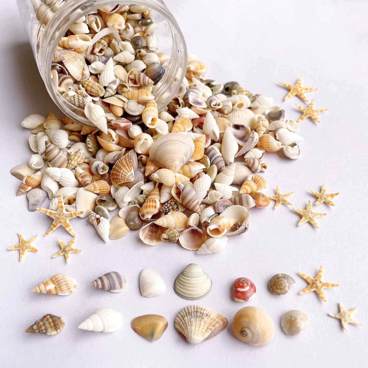 1200PCS Tiny Mixed Sea Shells with 10 Small Starfish, Spiral Ocean Seashells for Fish Tank, Vase Filler, Beach Theme Party, Wedding Decor, DIY Craft Supplies