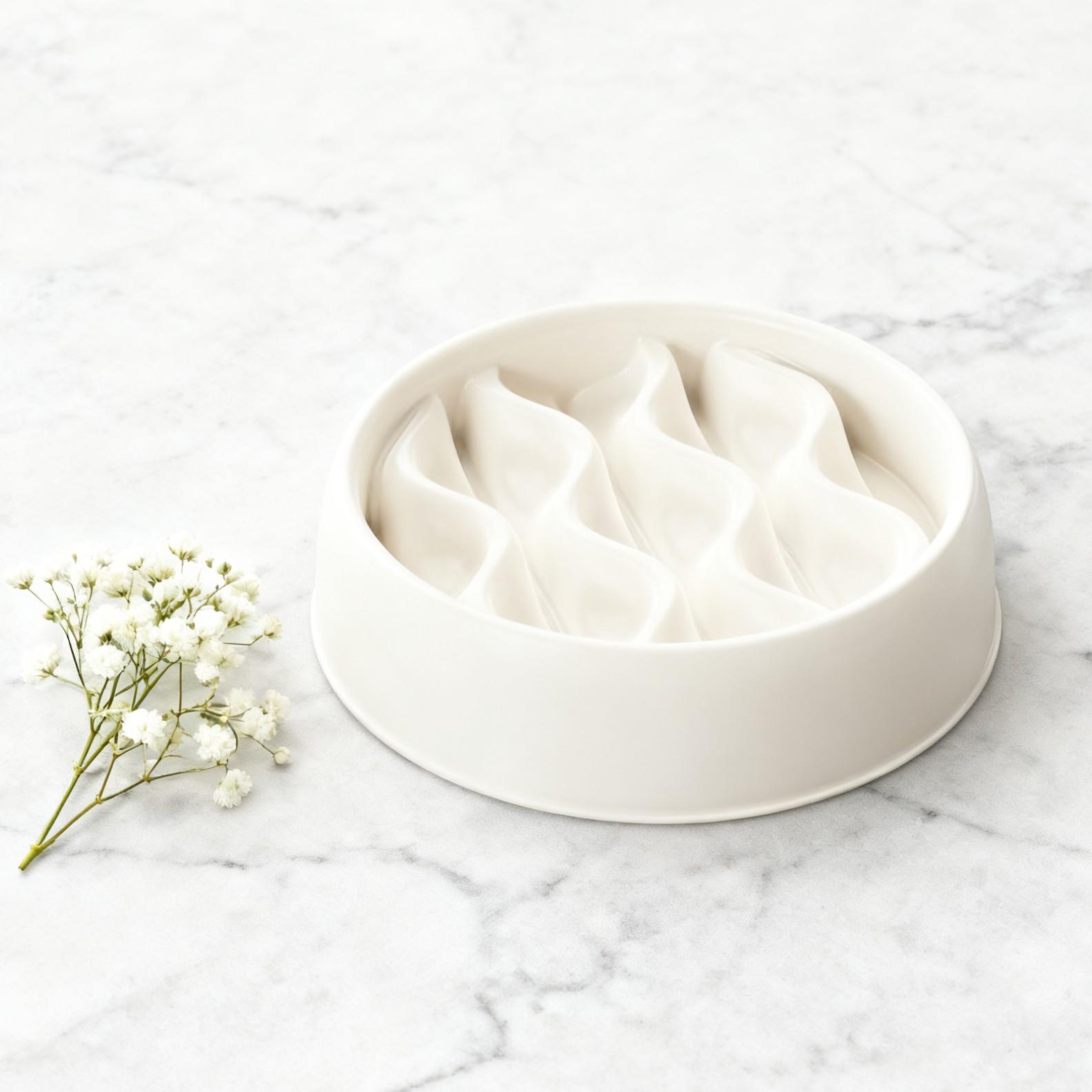 Multi-Purpose Cat Bowl, Thickened Anti-Choking Slow Feeder, Splash-Proof Double Bowl, Pet Food Dish, Supplementary Food Bowl