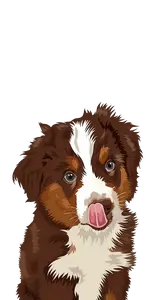 background preload poster image 