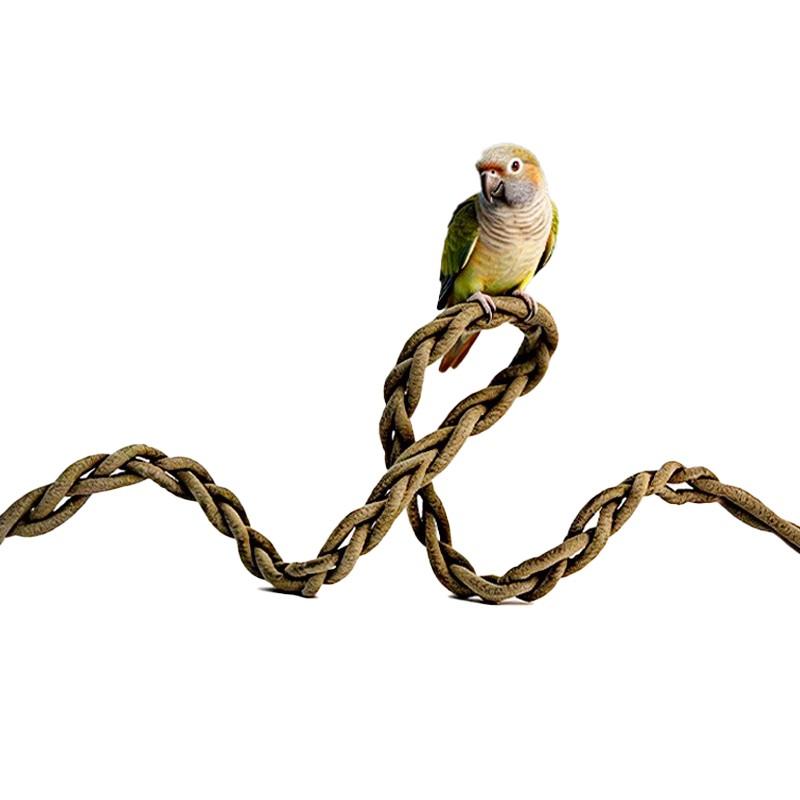Parrot Climbing Rope Stand Pole Toy, Bendable Bird Toy for Cage Accessories, Parakeet Budgie Cockatoo Chew Toy, Avian Pet Supplies