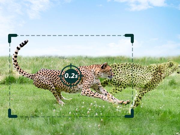 4G LTE Solar Game Camera – 2K Live Video, No Power Cord Required,WiFi Not Supported,Remote APPControlled, WaterProof, Motion Activated, NightVision, 4G Data Cellular Card Included (Data refill is required for 4G data usage)