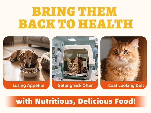 【Live Big Deal】Wellix Sunny Bites – Healthy Chicken&Egg Yolk&Pumkin Freeze-Dried Treats for Cats & Dogs, 3.5oz