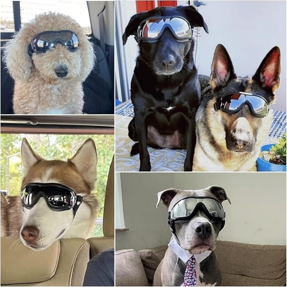 Dog Glasses, Pet Sunglasses, Outdoor Adventure Protective Eyewear, UV Protection, Windproof Design, Adjustable Strap, Durable Material