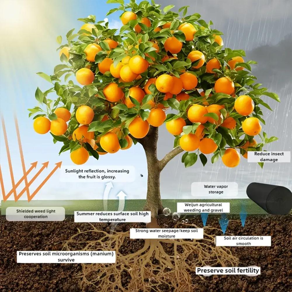 10pcs Durable and breathable polyester grass proof cloth, suitable for indoor and outdoor grass proof mats in gardens, lawns, flower beds, and walkways. Made of black mesh material, specifically designed for root protection and garden maintenance