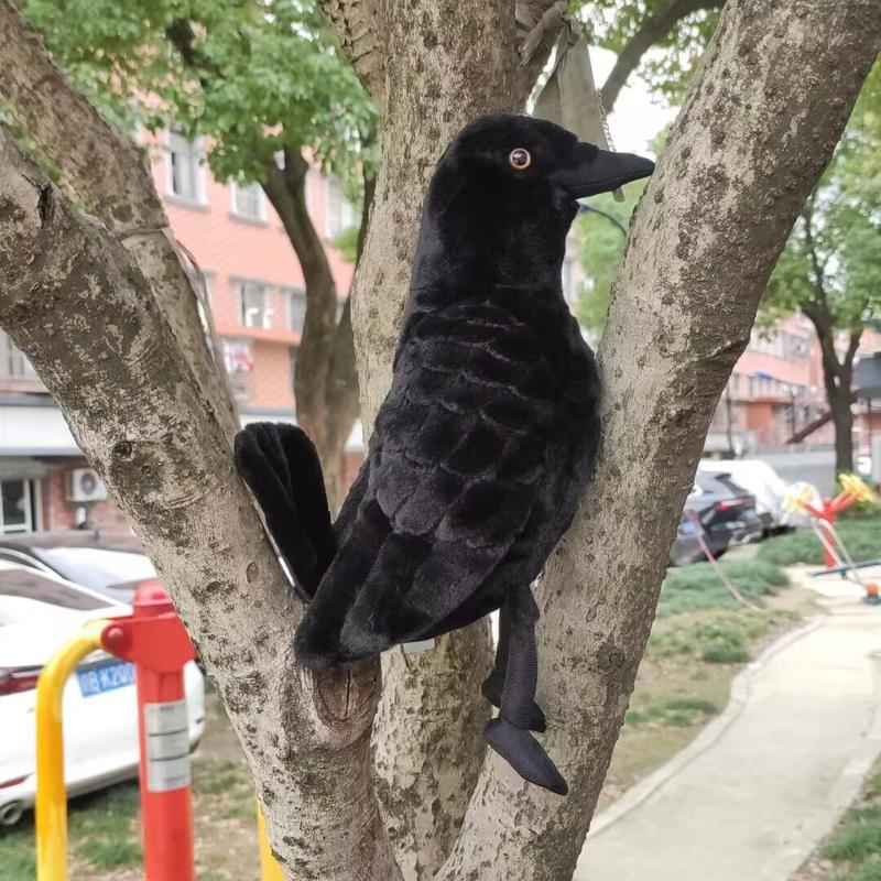 Realistic crow plush toy, soft and plush, exquisite details, creative gift, unique ornament. A charming decorative piece for the study, bedroom, or living room. A quirky animal doll, suitable for animal lovers, and a perfect gift for boys and children.