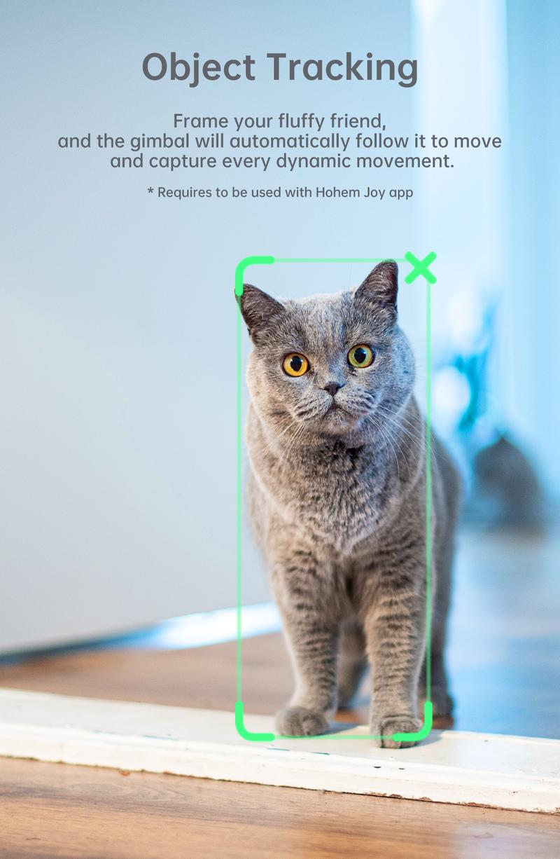 Hohem iSteady XE Kit Gimbal Stabilizer for Smartphone, 3-Axis Gimbal for iPhone 17 series & Android with Magnetic Adjustable Fill Light, Portable & Foldable Stabilizer for Video Recording