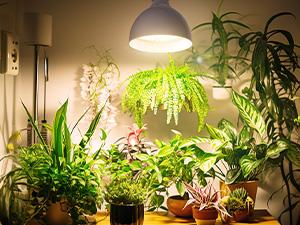 Barrina Hanging Grow Lights, 25W Full Spectrum, with Timer and 16.4FT Power Cord