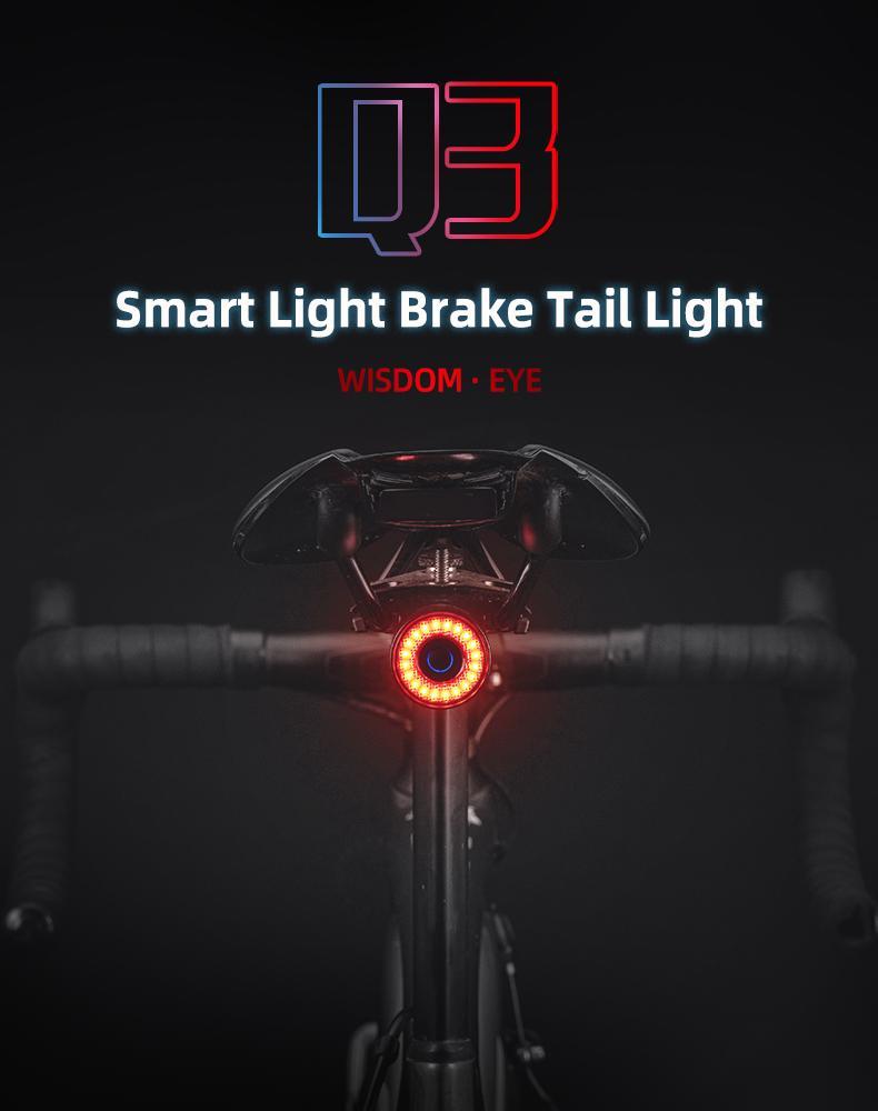 ROCKBROS Bike Tail Light, USB Rechargeable Bicycle Taillight, Auto On Off Sensor IPX6 Waterproof Bike Rear Lights for Night Riding and Bicycle Safety, 4 Light Modes Cycling Safety Light