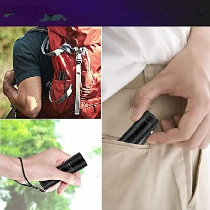 Wild Bright 2-pack portable 12-LED ultraviolet flashlight with 395nm wavelength, black light detector for dog urine and pet stains, fluorescent aluminum detector, suitable for outdoor hiking and garden search, 6*AAA batteries not included