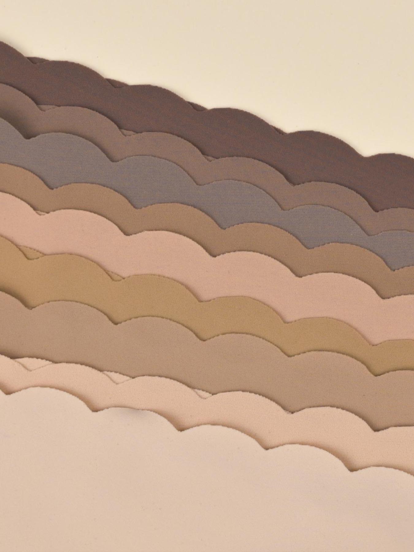 Cameltoe Proof Seamless Thongs Made With Sandwich Like Patented Insert 3-LAYER PROTECTION Women's Leopard Print Thong Panties, Breathable Low Waist Seamless Underwear, Fitted Casual Yoga Gym Wear, Basic