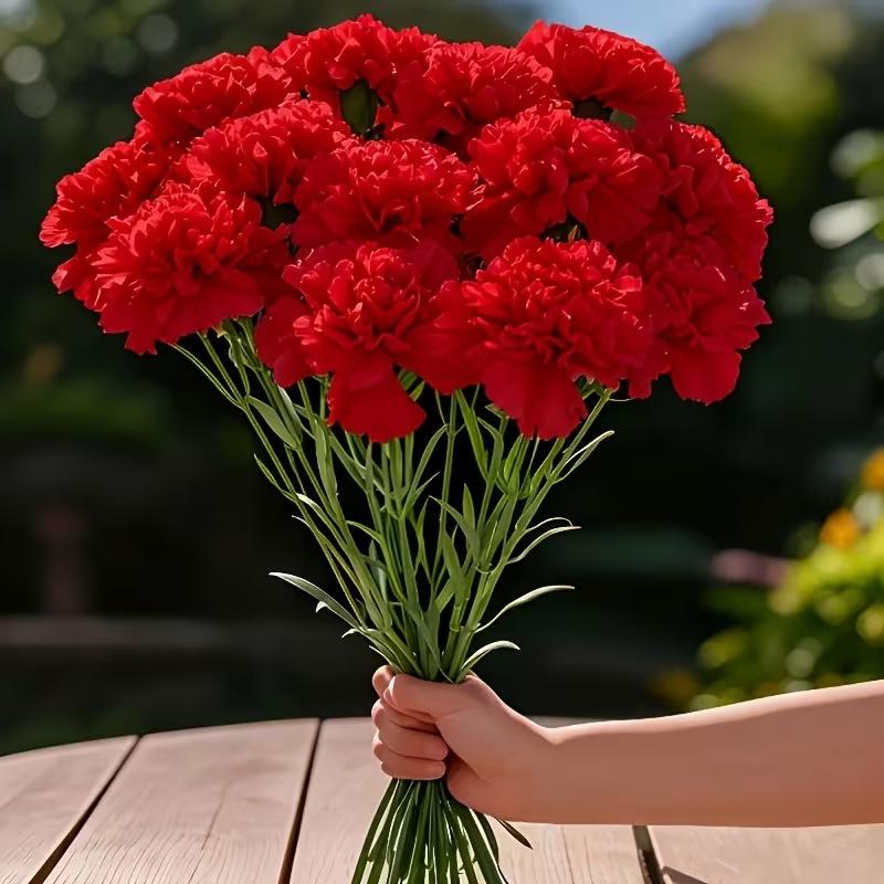 10pcs Artificial Carnations, Plastic & Realistic, for Weddings, Valentine’s, Mother’s Day, Seasonal Decor, Event Planners, Home Stylists