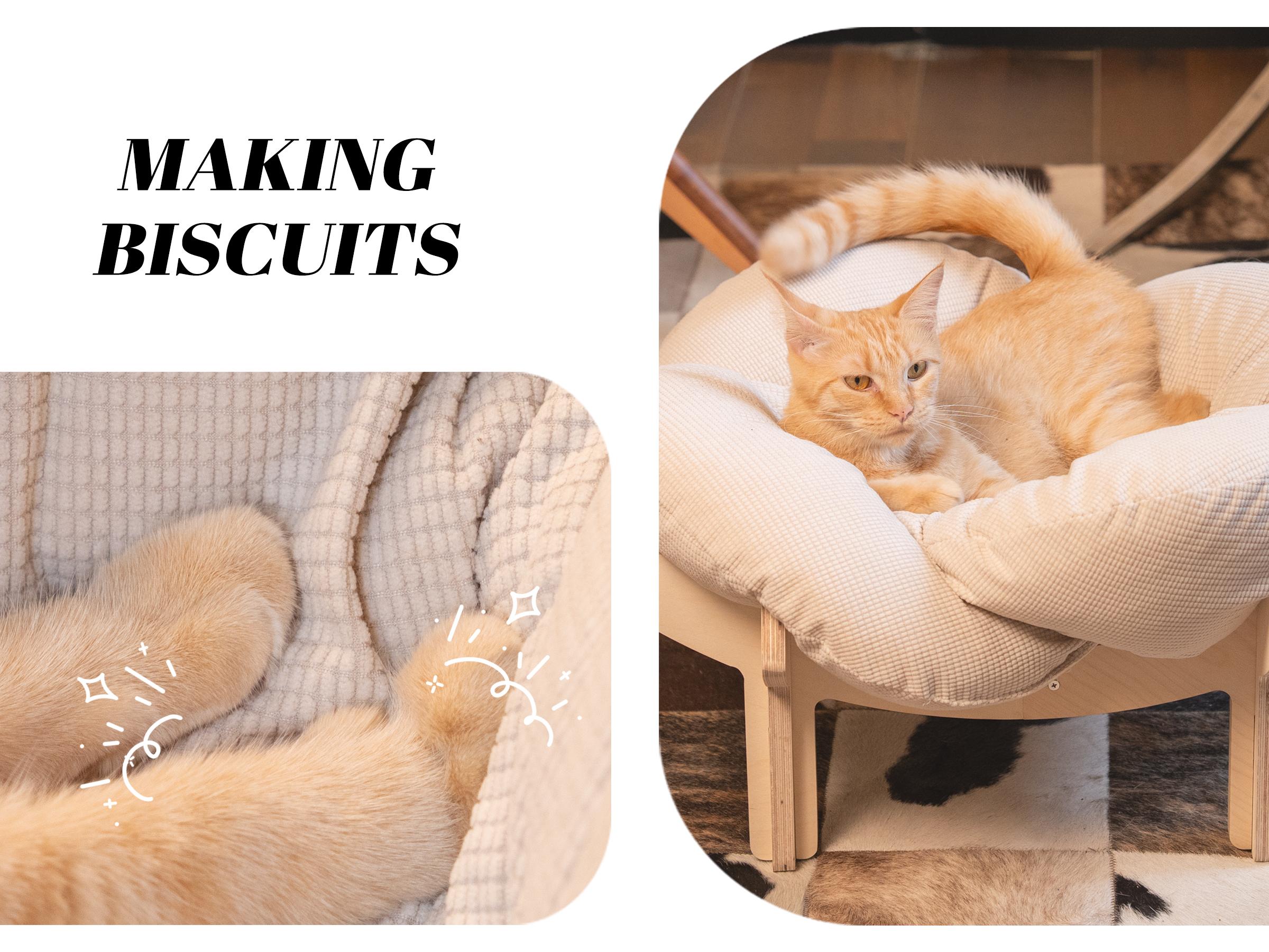 Elevated Flower Cat Bed，Wooden with Cushion， Fluffy Pet Couch Sofa for Indoor Cats and Dogs， Raised Kitty Lounge Chair， Suitable for Puppy, Cat Furniture(Large)