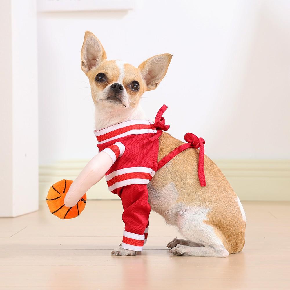 Pet Basketball Transformation Costume, Humanoid Ball Design, Striped Sporty Style, Breathable Mesh Strap, Small Dogs (chihuahua/pomeranian/teddy)