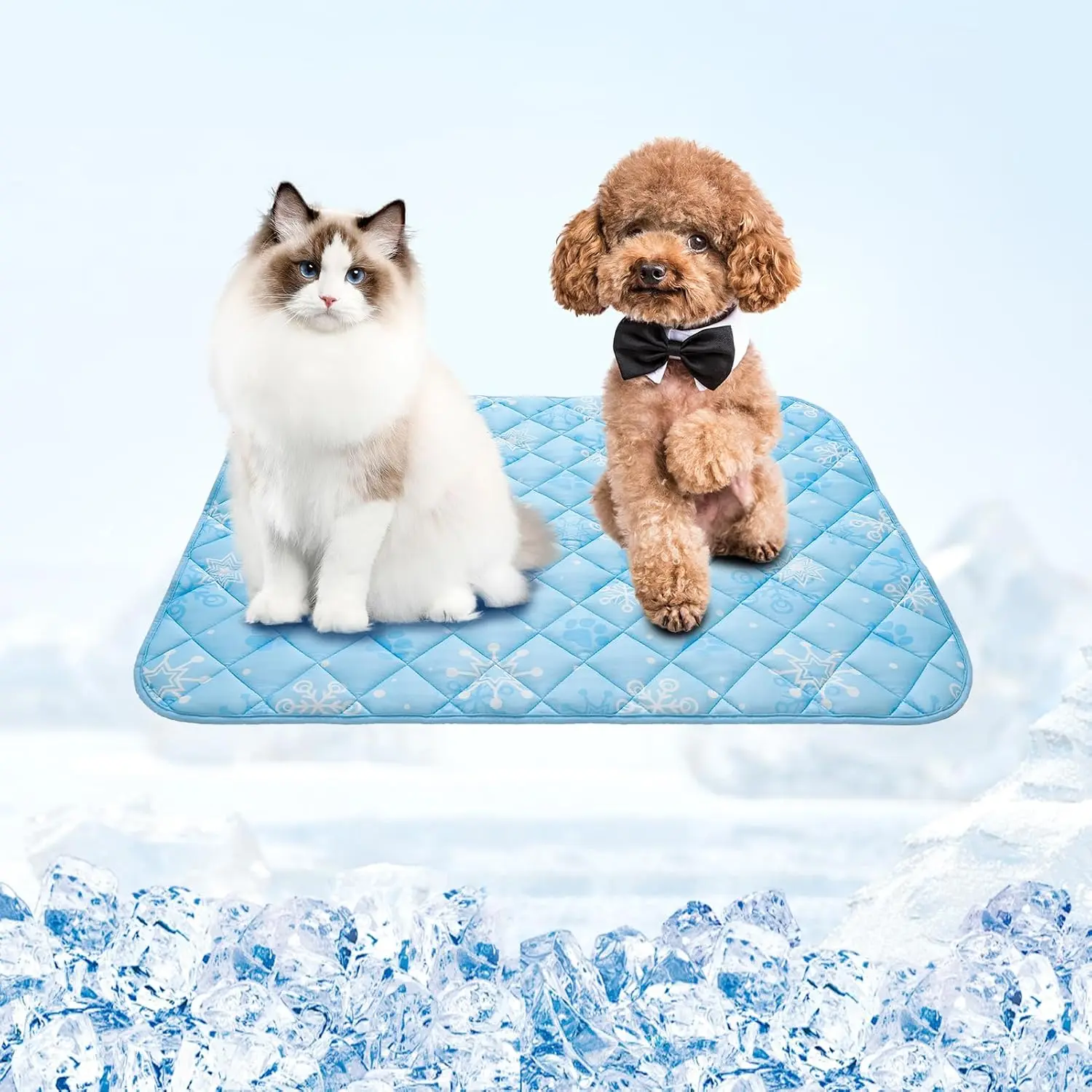 Sky Blue Paw