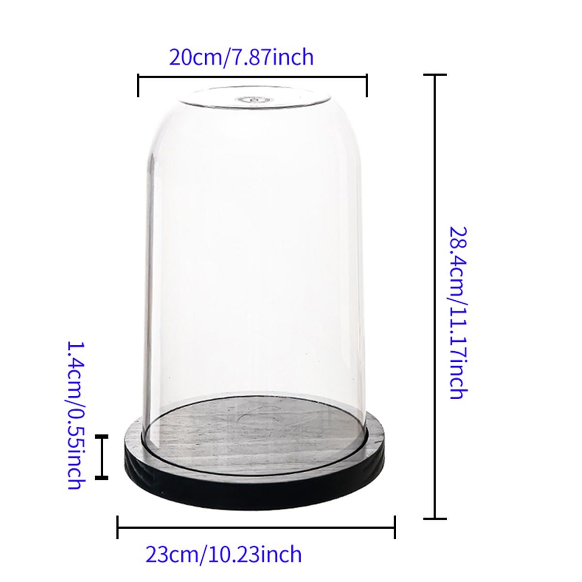 Transparent Doll Display Box, Collectible Box, Dustproof Collection Showcase, Ideal for Eternal Flower, Wooden Base, Valentine's Day Gift