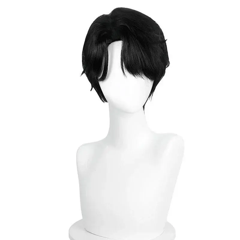 wig