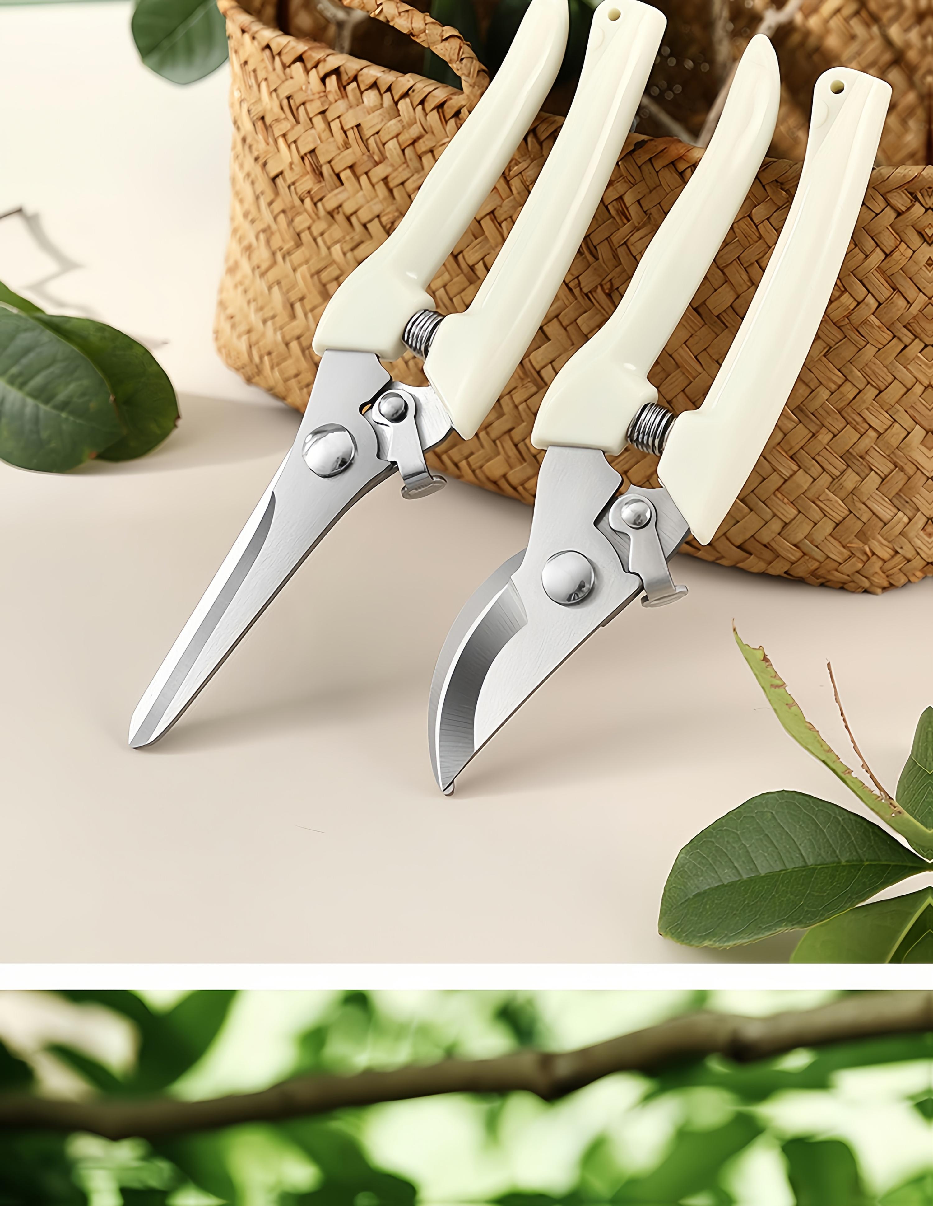 Professional Stainless Steel Garden Pruning Shears with an Ergonomic White Handle Designed to Save Effort, Perfect for Branches, Flowers, And Grafting Trees, As Well As Tasks in Orchards And Gardening