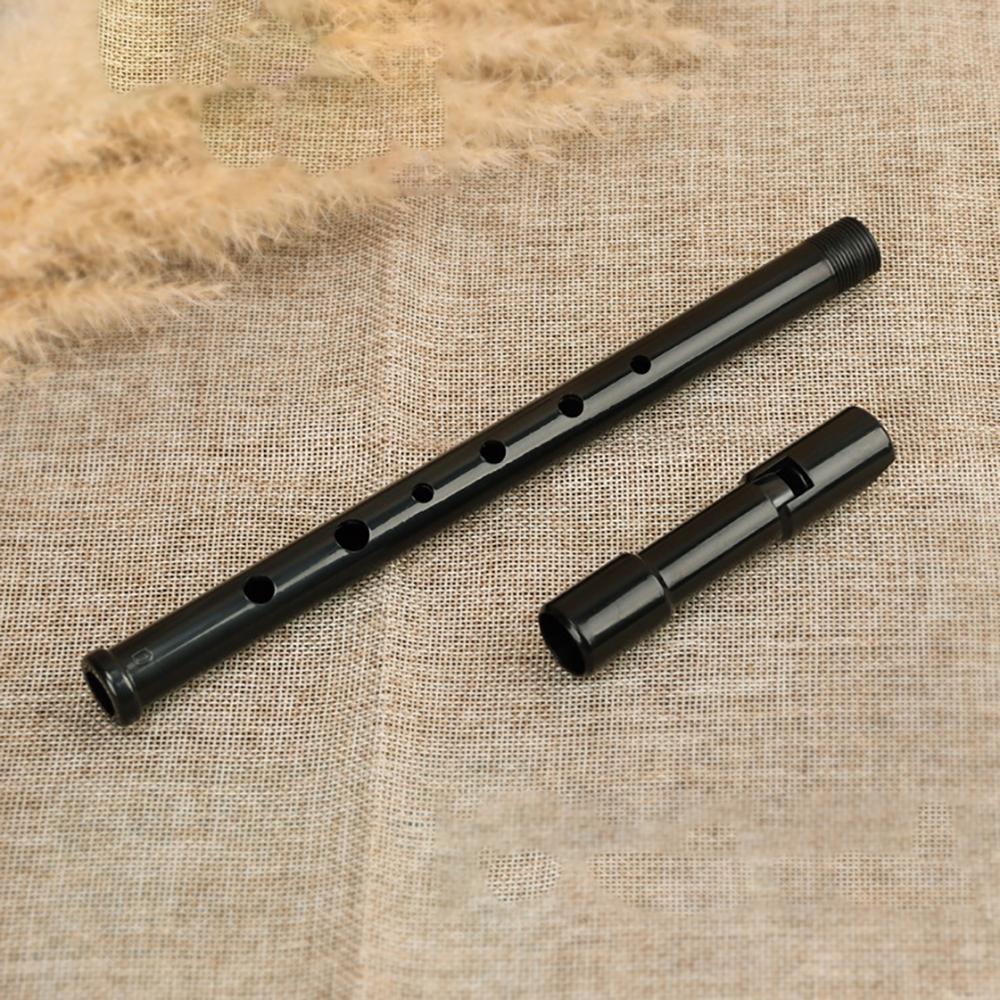 Schwinger 6 Hole Recorder Key D Resin, Portable Non-Toxic Flute Recorder for Beginners, Ideal for Kids Music Learning