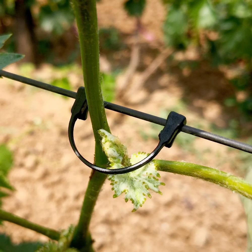 200pcs fixed clip garden gardening fixed clip plant support sapling branch fixed clip blueberry seedling hook bonsai multifunctional gardening clip grape blueberry clip kiwi fruit binding clip