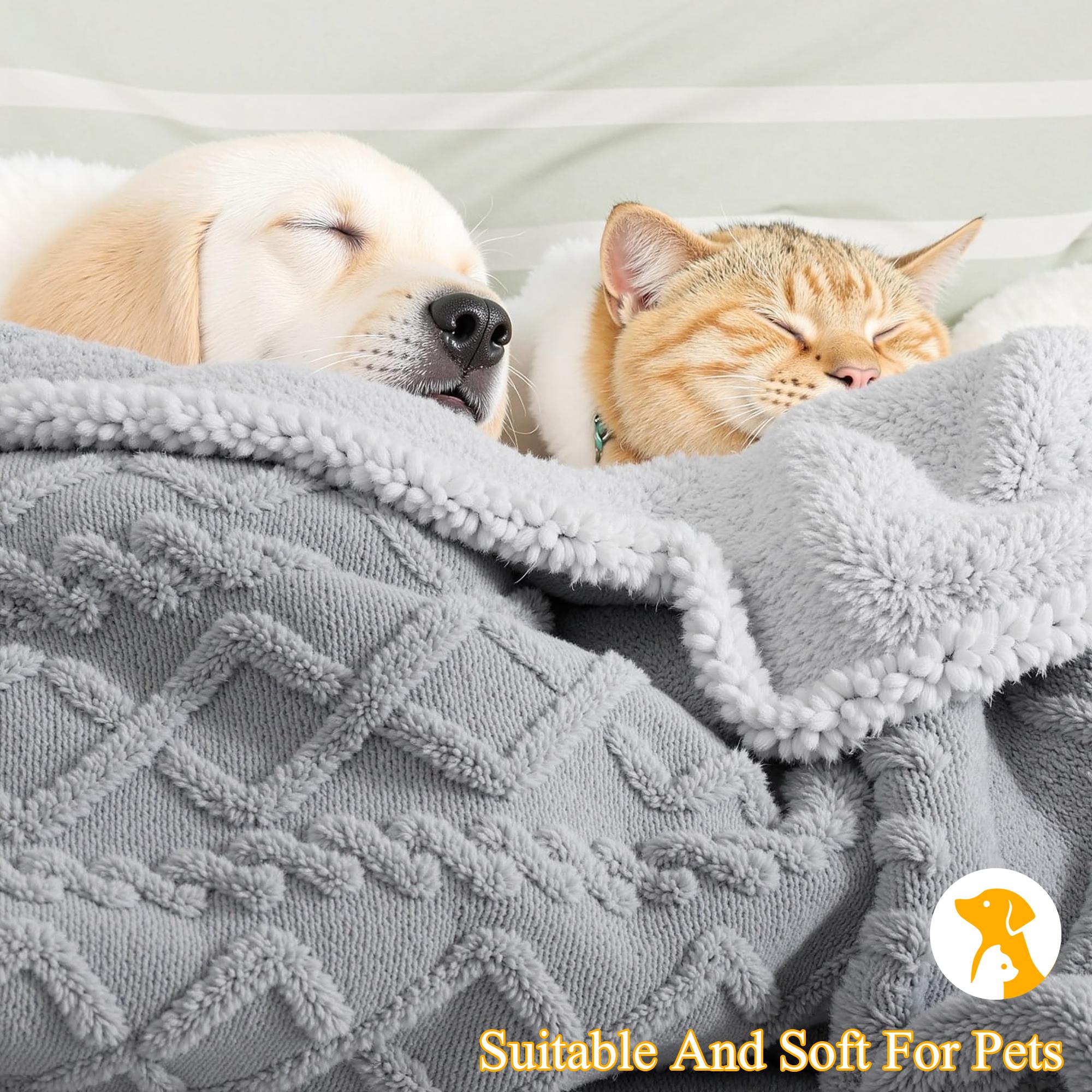 Raybee Cozy Soft Blanket for Bedroom, Luxurious Double Sided Plush Throw Blanket, Soft Comfortable Breathable Blanket, Lightweight Summer Fluffy Blanket For Couch, Bed, Travel,Camping