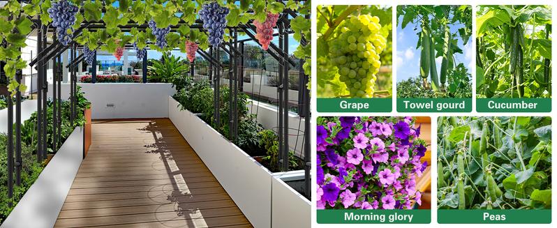 Lilypelle Large Outdoor Garden Arch Trellis, 87" H x 118" L x 79" W Large Tall Grape Vine Support, Arch Arbor Trellis Plastic-Coated Metal Vine Trellis, for Climbing Plants Vineyard Patio Lawn Yard Garden Decoration