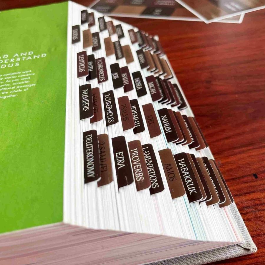 80pcs Thinkor Reposition Laminated Bible Tabs, Adhesive Tabs, Large Print Book Reading Stickers, Book Accessories, Easy to Read and Apply, Earthy, for Men and Women