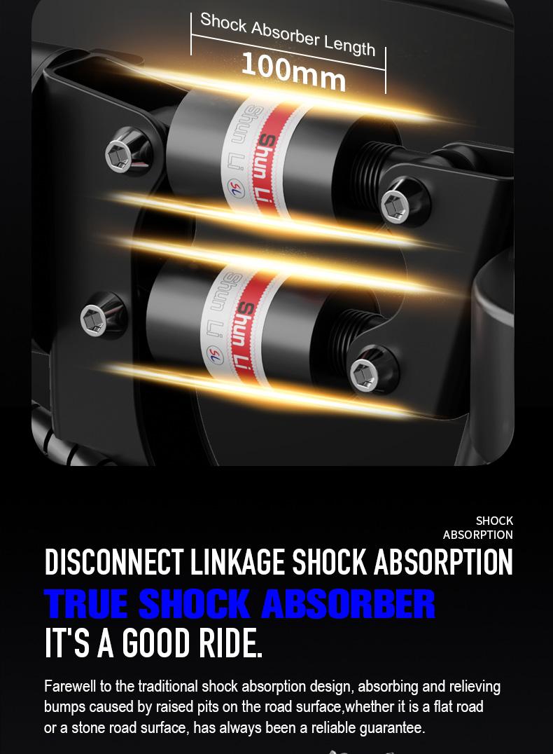 Adult Electric Bicycles Foldable 20mph Commuter Ebike with Detachable Battery Lightweight Folding Ebike 500W 48V 15AH 16 Stage Damping