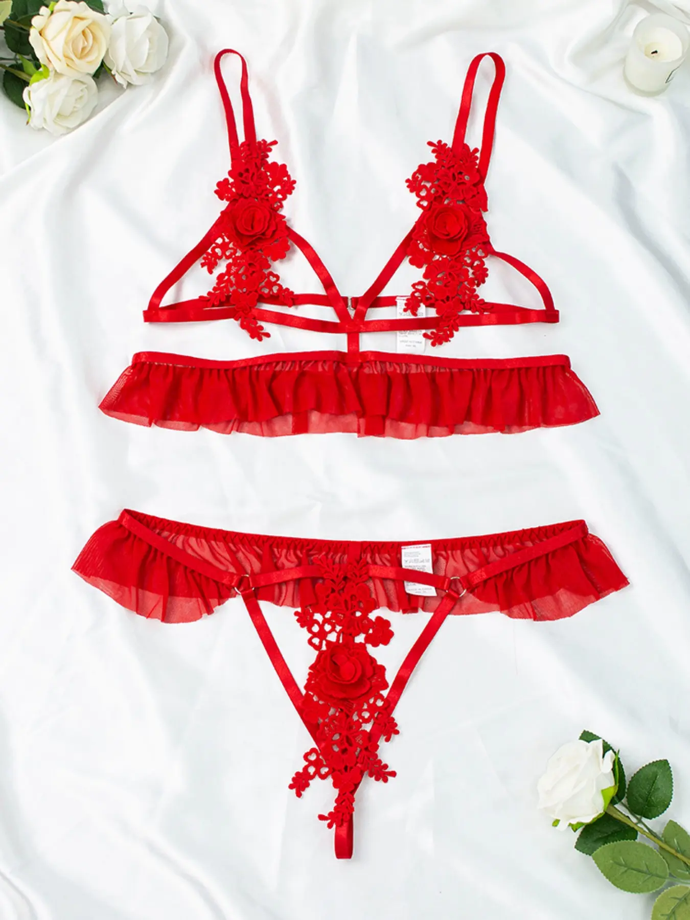 Women's Sexy Lingerie Set, Vacuum Transparent Mesh Design, Floral Embroidery, Wireless Bra & Pants, Party Wear, Gift Idea