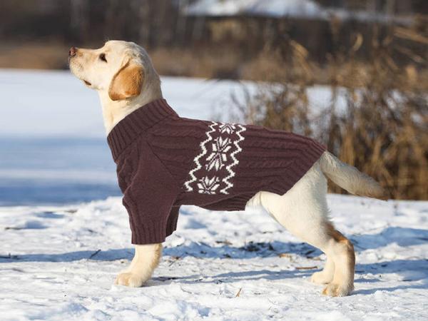Kuoser Dog Sweater, Dog Sweaters for Medium Dogs, Doggie Sweater Boy Girl Christmas Clothes, Winter Coat Apparel Cable Knitwear, Pet Sweatshirt Outfit for Frech Bulldog, Boston Terrier