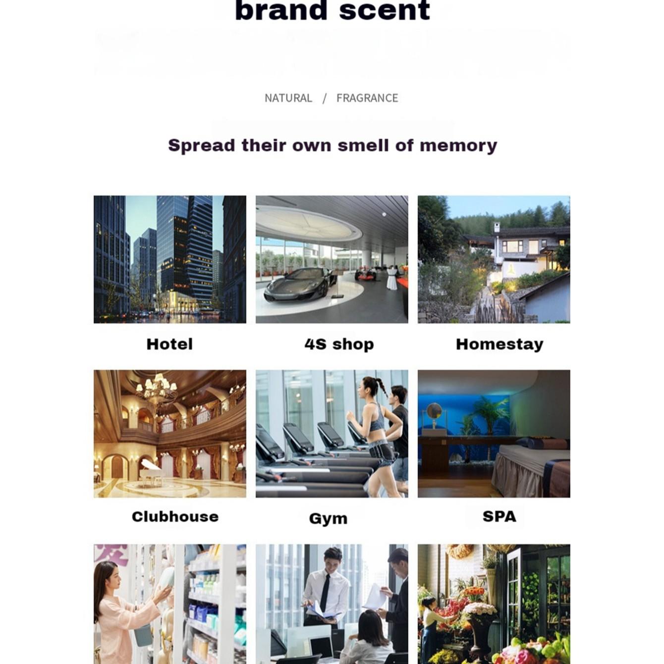 100ML Intercontinental Hotel Diffuser Essential Oil, Home Perfume Liquid, Aromatherapy Machine, Spray Bottle, Car Air Freshener