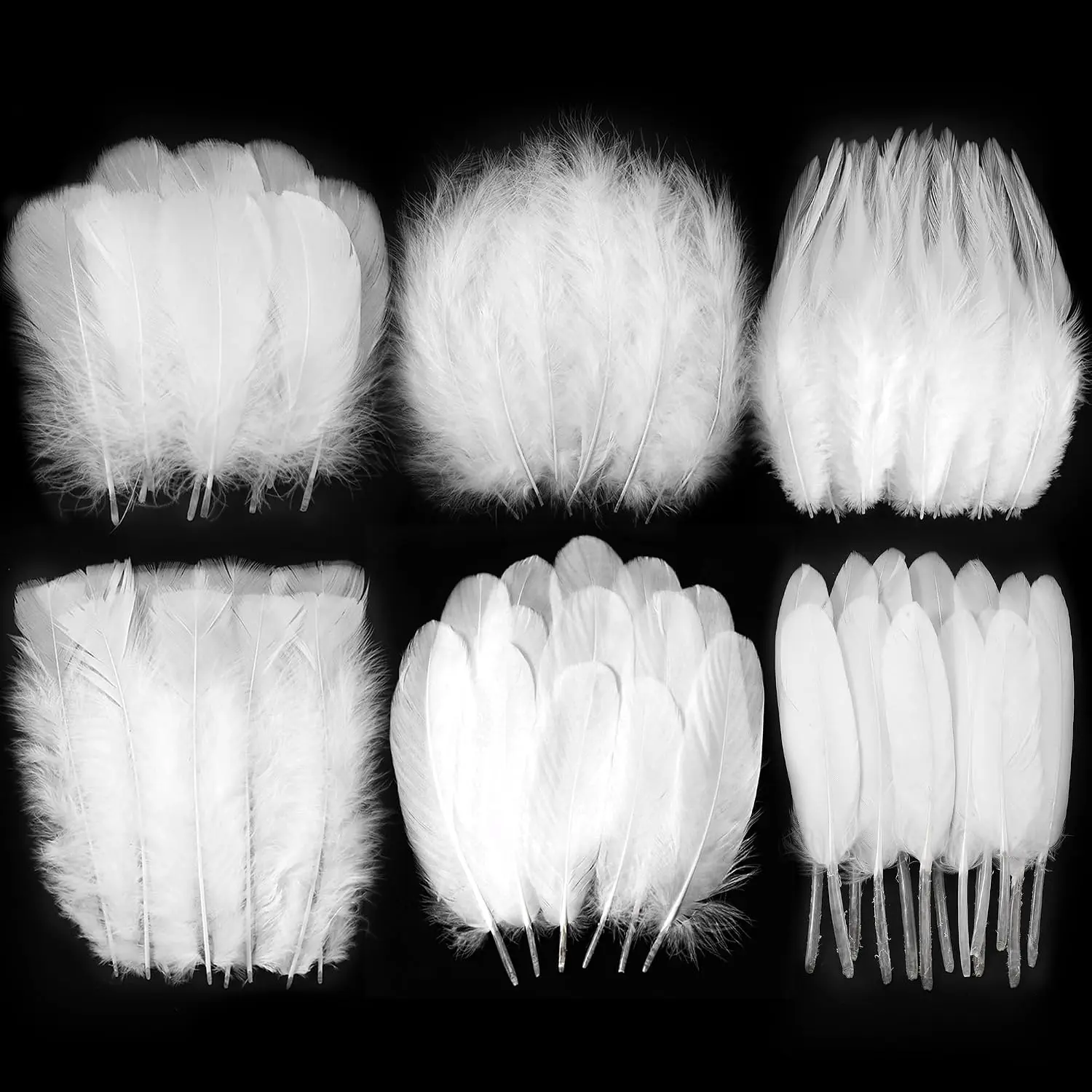 Mixed White Feathers Bulk for Crafting Supplies,240pcs,6 Styles