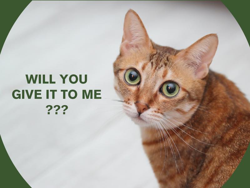 MUTICOR 68in Premium Heavy-Duty Cat Tree for Large Cats/Big Cat Tower with Cat Condo/Cozy Plush Cat Perches/Sisal Scratching Posts and Hammocks/Cat Activity Center#TikTokShopBlackFriday #ChristmasGifts