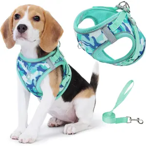 Step in Dog Harness with Leash Set, Adjustable Soft Padded and Breathable Mesh for Small Sized Dog, Reflective No Pull No Choke Cat Vest Harness, Easy Control Pet Vest, Teal L