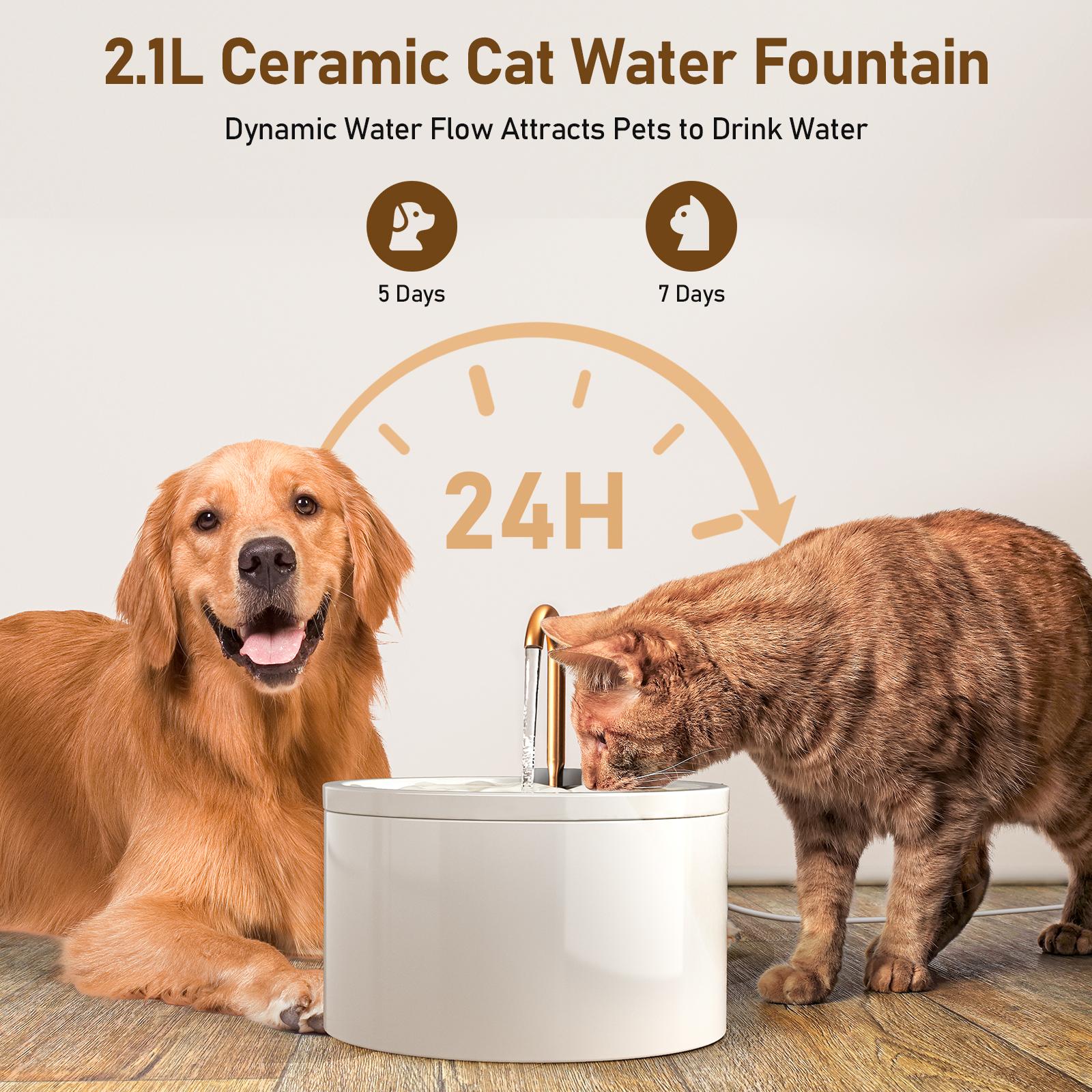 MISFANS D02 Ceramic Automatic Water Bowl - 2.1L Ultra-Quiet Wired Plug-in Pet Fountain for Cats & Dogs, 2 Tap & Fountain Modes, Filtered, Easy to Clean MISFANS D02 Ceramic Automatic Water Bowl - 2.1L Ultra-Quiet Wired Plug-in Pet Fountain for Cats & Dogs, 2 Tap & Fountain Modes, Filtered, Easy to Clean