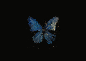 xX Jewelry Store xX Jewelry Store