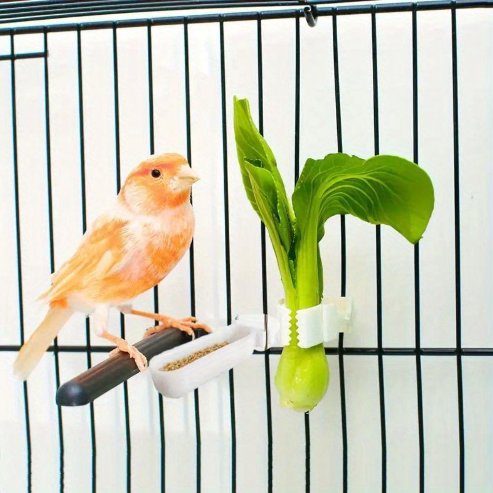 3 pcs Small Pet Bird Food Rack Parrot Fruit & Vegetable Clip Cuttlefish Bone Feeder Bird cage accessories Hanging Bird Feeder Bird Supplies