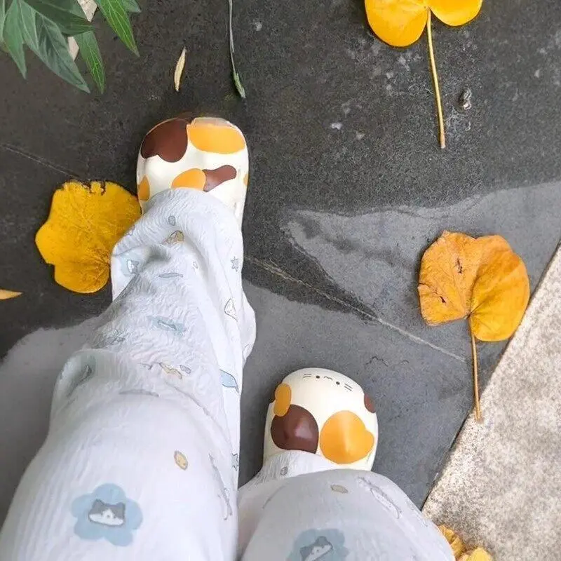 New Cute Three Flower Cat Claw Shoes for Summer Outdoor Thick Bottom Non Slip Hole Shoes Beach Home Sandals
