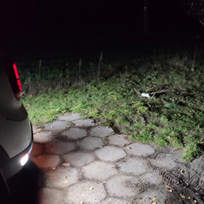 AUXITO 912 921 LED Bulbs for Backup Reverse Light Bulbs, 42-SMD 400% Brighter, 6000K White, Non-polarity 906 W16W T15 921 LED Bulb Direct Back Up Parking Light Replacement Lamp, Pack of 2