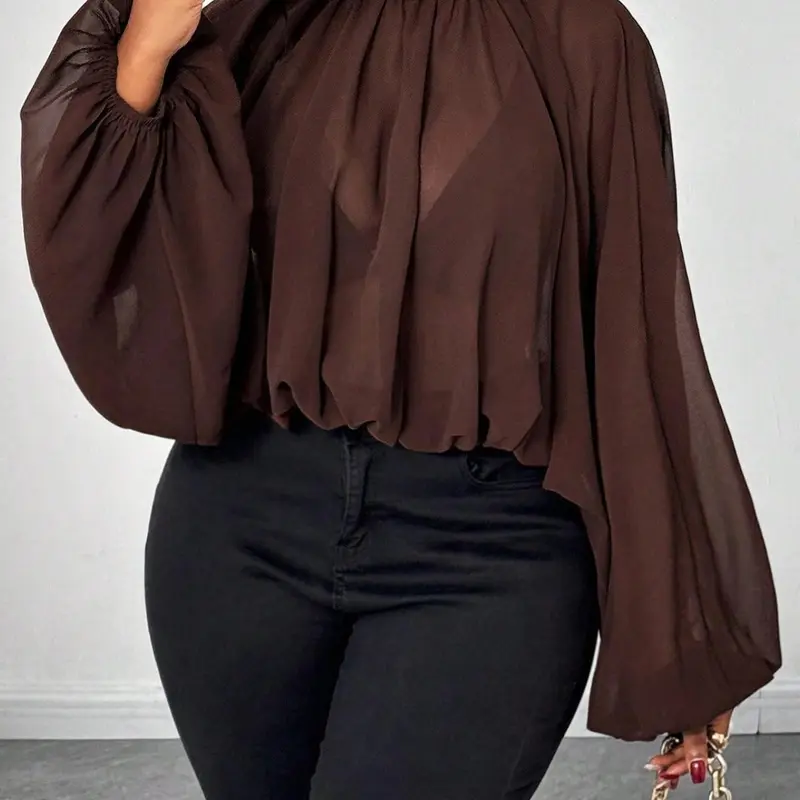Women's Casual Fashion Top, Pure Color Stand Collar Lantern Sleeve Ruched Design, Spring & Fall Women's Clothing
