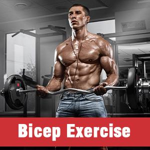 Bearbro  Weight Plates 2 Inch Rubber Coated Olympic Weight Plate for Strength Training & Weightlifting in Home Gym, Solid Cast Iron Bumper Plates for Barbell