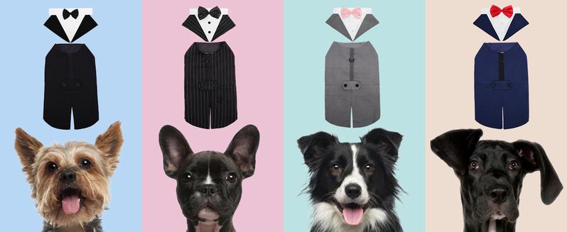 Kuoser Dog Tuxedo Dog Suit and Bandana Set, Dogs Tuxedo Wedding Party Suit, Dog Prince Wedding Bow Tie Shirt Formal Dog Wedding Attire for Large and Medium Dogs Golden Retriever Samo Bulldogs