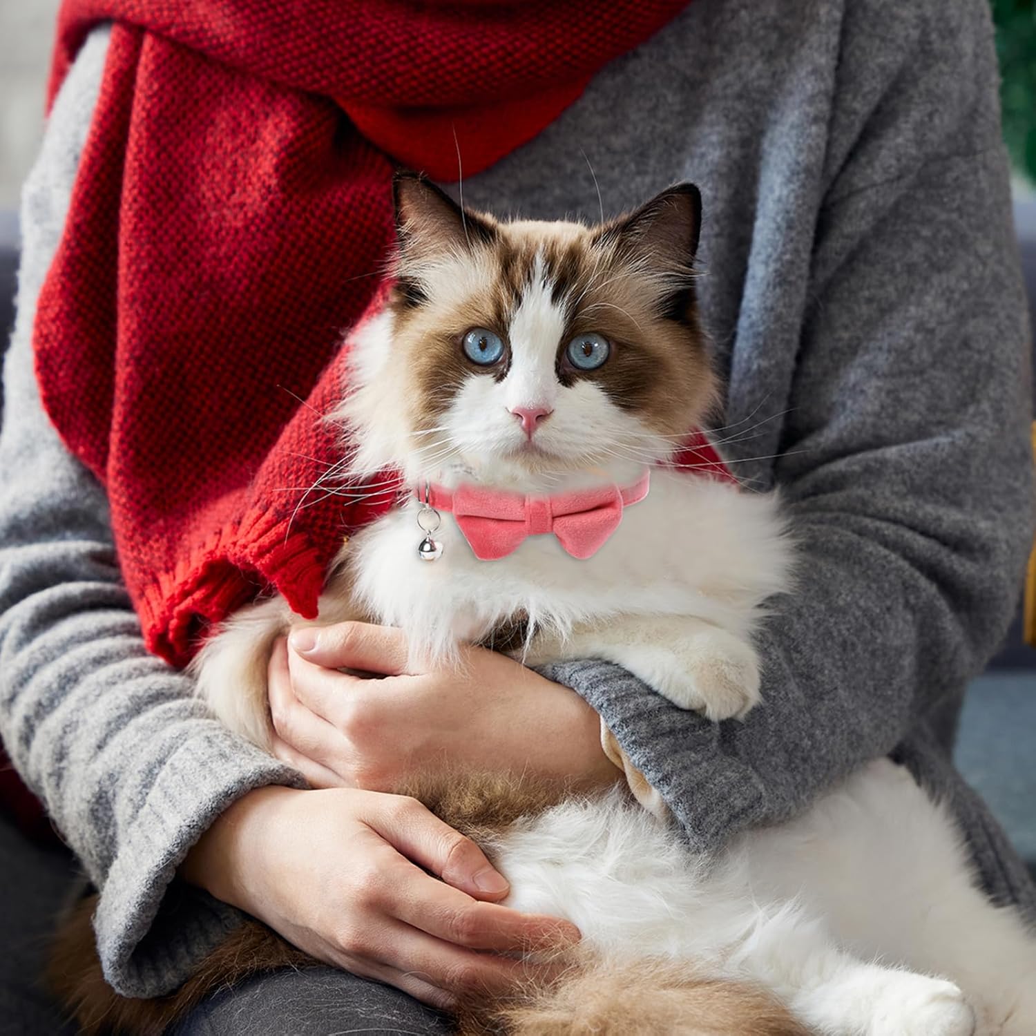 Adjustable Pet Collar with Bell, Cute Bowknot Design Pet Collar with Safety Buckle, Pet Accessories for Small Dogs & Cats