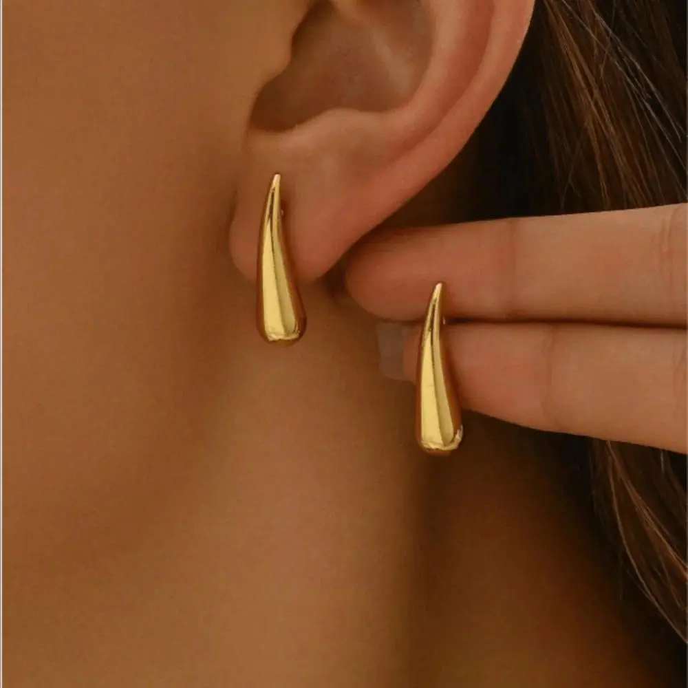 Minimalist Niche Design Water Drop Chili Earrings for Women Fashionable and Versatile Stainless Steel Earrings